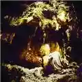 Wolves In the Throne Room Celestial Lineage