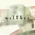 The Walkmen Lisbon