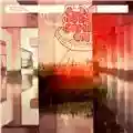 Subsonica Terrestre