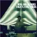 Noel Gallagher Noel Gallagher's High Flying Birds