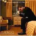 Brandon Flowers Flamingo