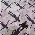 Muse Absolution