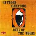 The 13th Floor Elevators Bull Of The Woods