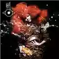 Björk Biophilia