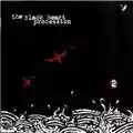 The Black Heart Procession 2