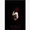 Matt Reeves Let Me In - Blood Story