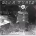 Lida Husik Bozo