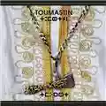 Tamikrest Toumastin