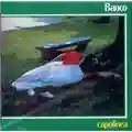 Banco Del Mutuo Soccorso Capolinea