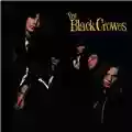 The Black Crowes Shake Your Money Maker
