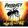 The Prodigy Live - World's On Fire