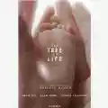 Terrence Malick The Tree Of Life