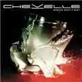 Chevelle Wonder What's next