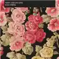 Mark Lanegan Band Blues Funeral