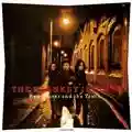 Blankey Jet City Red Guitar And The Truth