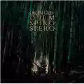 Dir En Grey Dum Spiro Spero