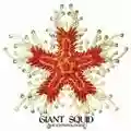Giant Squid The Ichthyologist