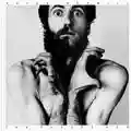Peter Hammill The Future Now