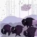 *Shels Plains Of The Purple Buffalo