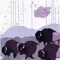 *Shels Plains Of The Purple Buffalo