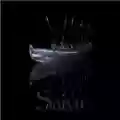 Tenhi Saivo