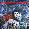 Marc Almond Enchanted