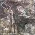 Sol Invictus Death Of The West