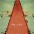 The White Birch Star Is Just A Sun