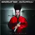 Wayne Static Pighammer