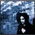 Jack White Blunderbuss