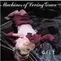 Machines of Loving Grace Gilt