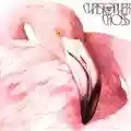Christopher Cross Another Page
