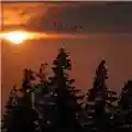Addaura Burning For The Ancient