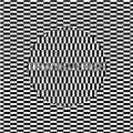 Carter Tutti Void Transverse