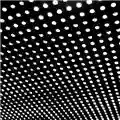 Beach House Bloom