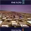 Pink Floyd A Momentary Lapse Of Reason