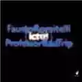 Fausto Romitelli Professor Bad Trip