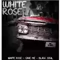 The Kins White Rose