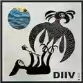 Diiv Oshin