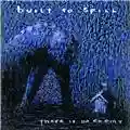 Built to Spill There is No Enemy