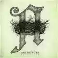 Architects Daybreaker