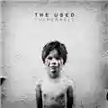 The Used Vulnerable