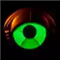 My Morning Jacket Circuital
