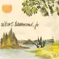 Albert Hammond Jr Yours To Keep