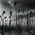Dead Can Dance Anastasis