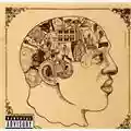 The Roots Phrenology