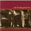 U2 The Unforgettable Fire