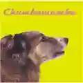 Chumbawamba WYSIWYG