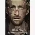 Michael Greenspan Wrecked