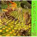 Screaming Trees Invisible Lantern